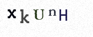 Visual Confirmation Security Code