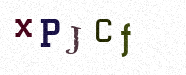 Visual Confirmation Security Code