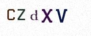 Visual Confirmation Security Code
