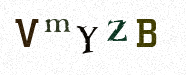 Visual Confirmation Security Code